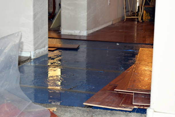 Professional Flood Damage Repair technician working in Parker, FL